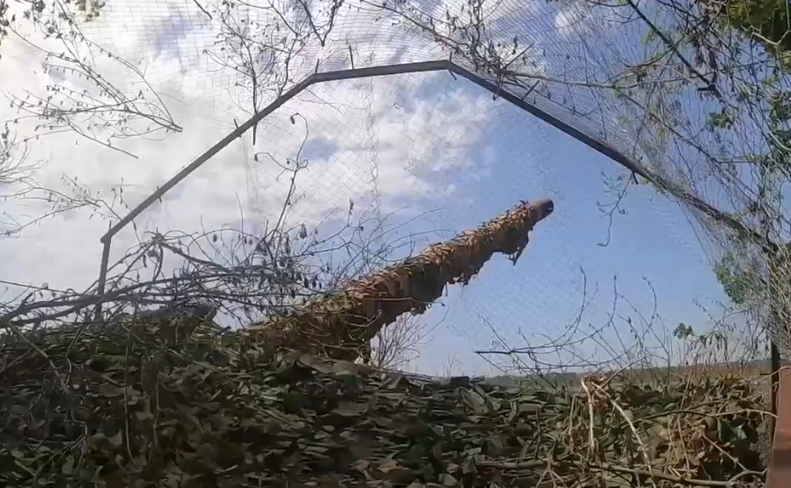 Грув, бејби! Грув, бејби!
