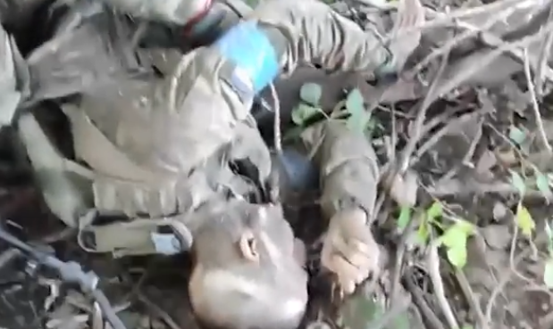 Не дај Боже...