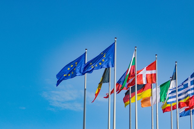 EU - savez raspalih kolonijaša i njihovih sluga EU - savez raspalih kolonijaša i njihovih sluga